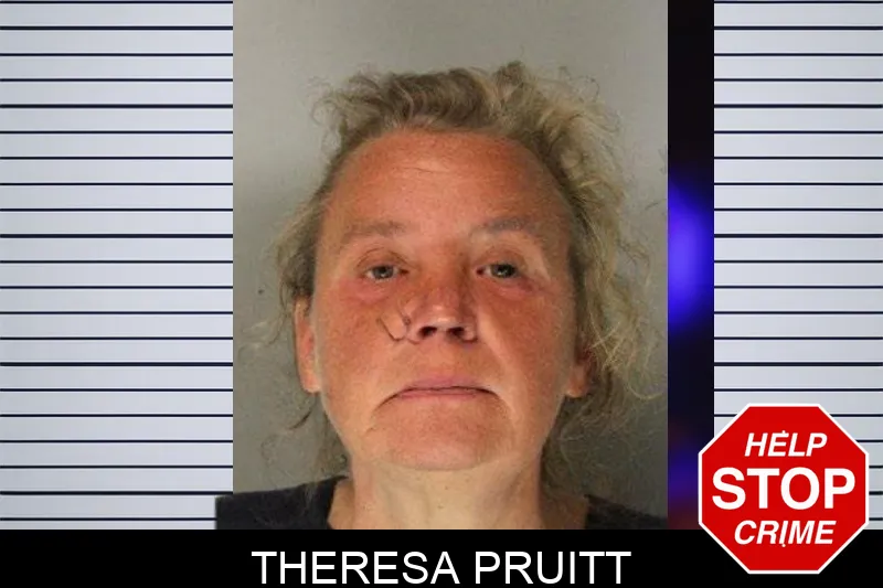Theresa Pruitt Mugshots
