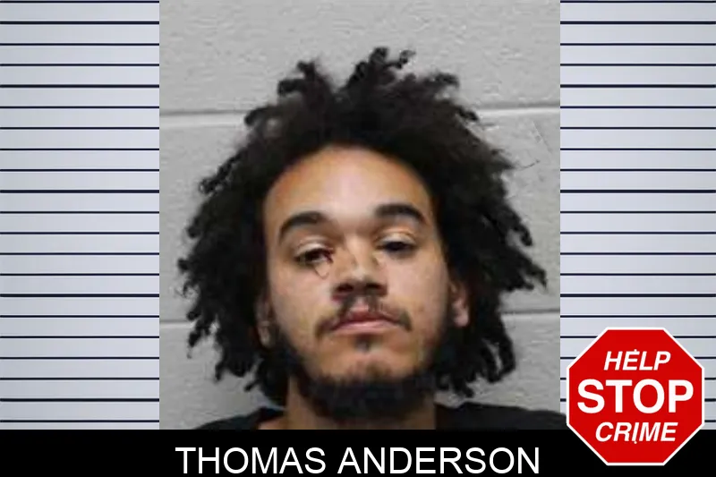 Thomas Anderson Mugshots
