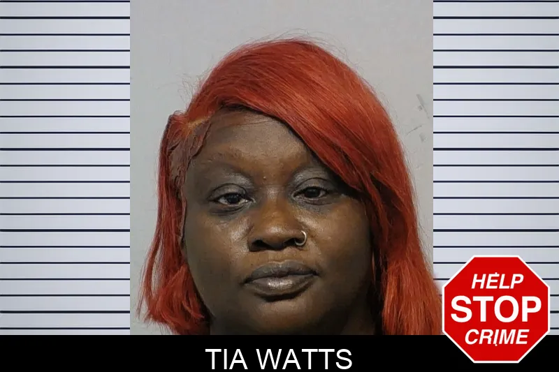 Tia Watts Mugshots