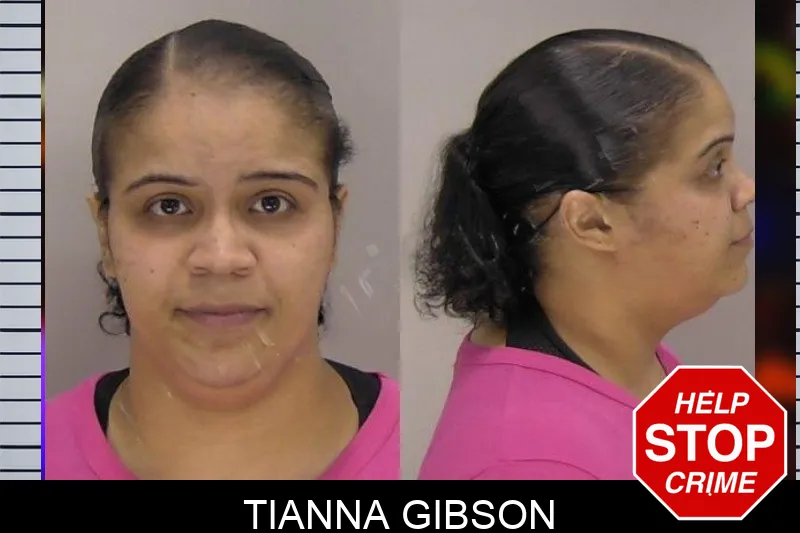 Tianna Gibson Mugshots