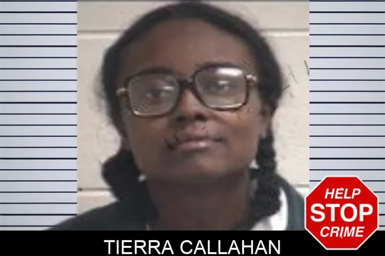 Tierra Callahan mugshot – Henry County , Georgia Tierra Callahan