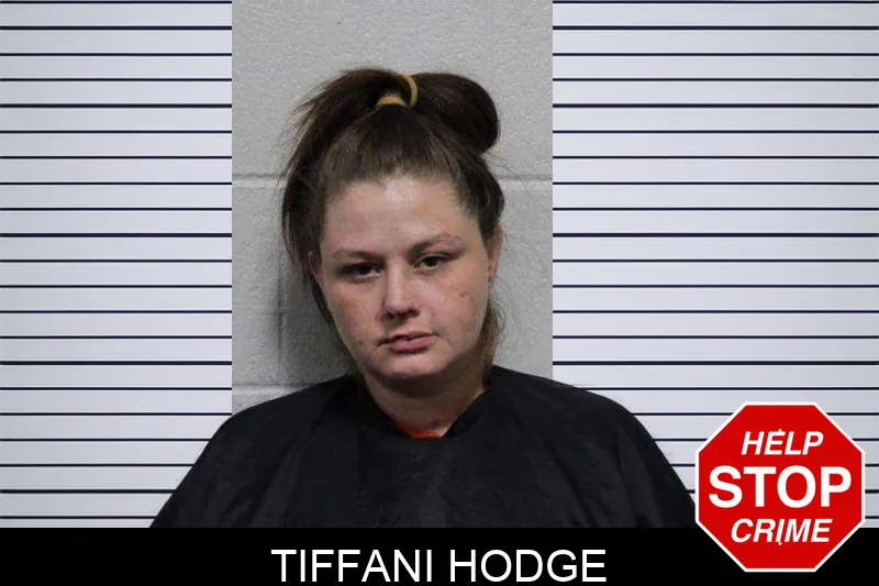 Tiffani Hodge Mugshots