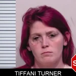 Tiffani Turner Mugshots