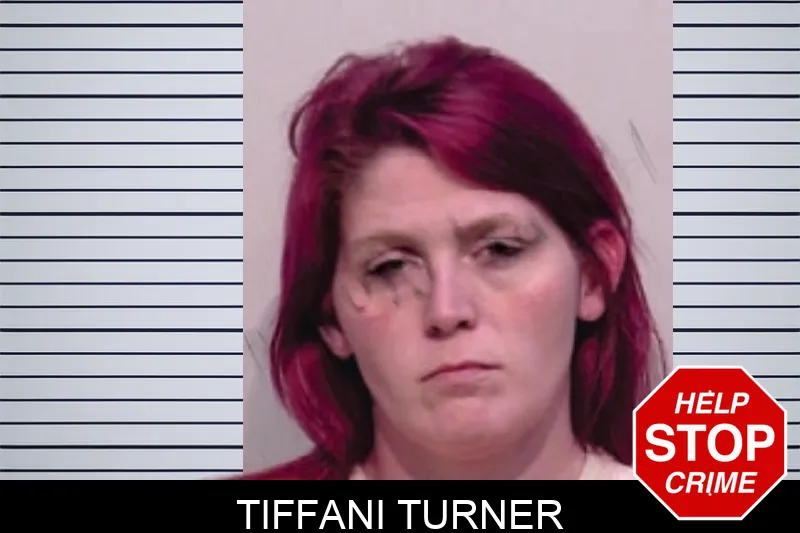 Tiffani Turner Mugshots