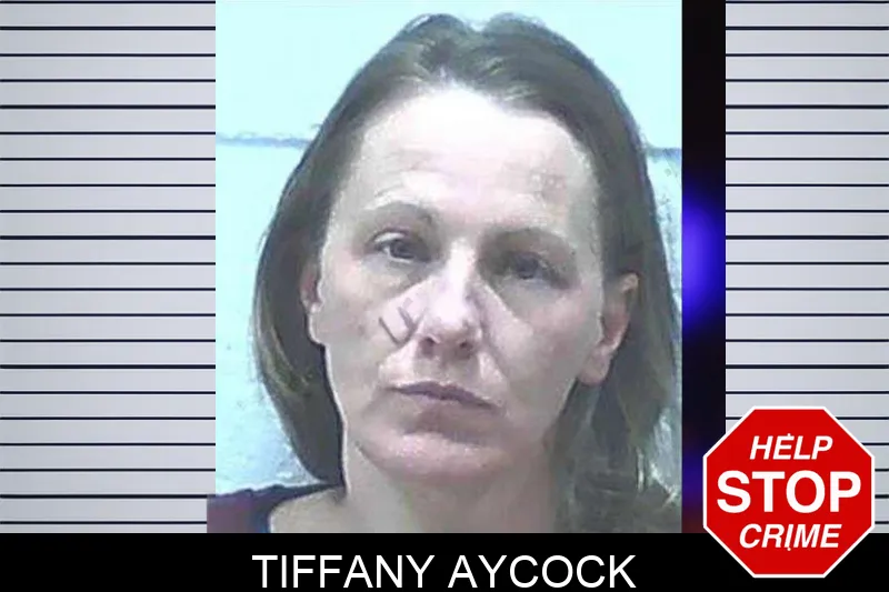 Tiffany Aycock Mugshots