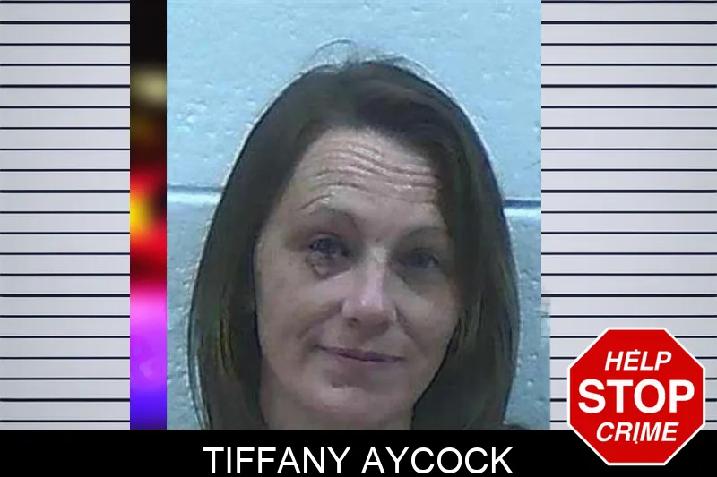 Tiffany Aycock Mugshots