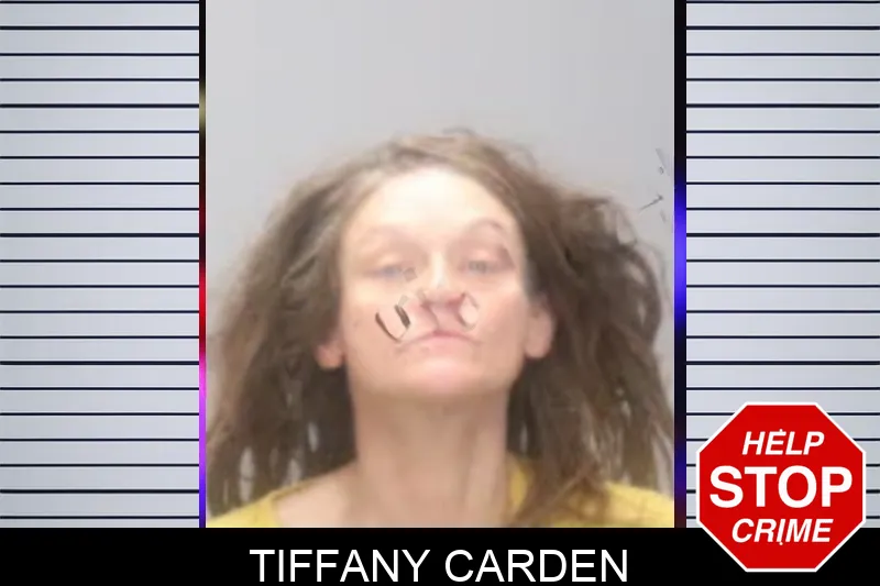 Tiffany Carden Mugshots