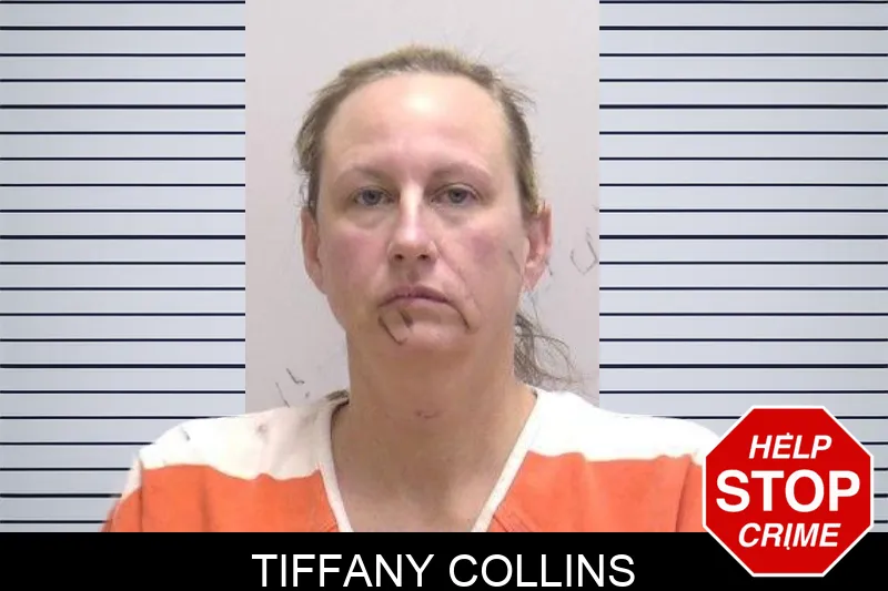 Tiffany Collins Mugshots