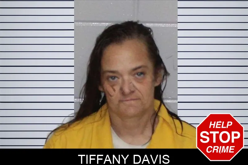 Tiffany Davis Mugshots