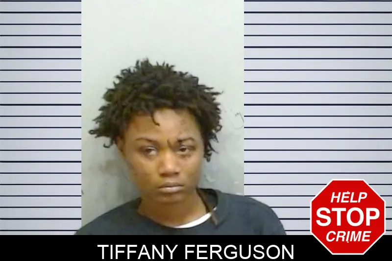 Tiffany Ferguson Mugshots