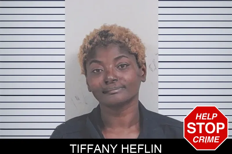 Tiffany Heflin Mugshots