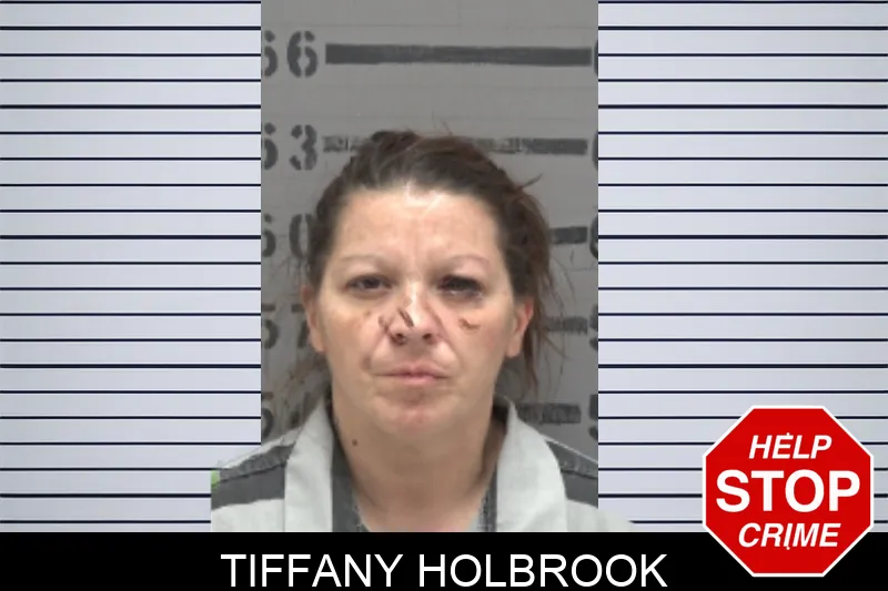 Tiffany Holbrook Mugshots