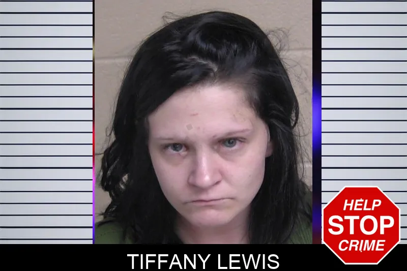 Tiffany Lewis Mugshots