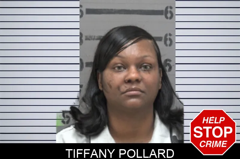 Tiffany Pollard Mugshots