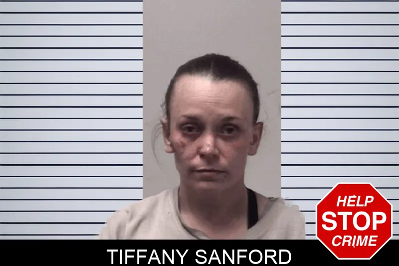 Tiffany Sanford Mugshots