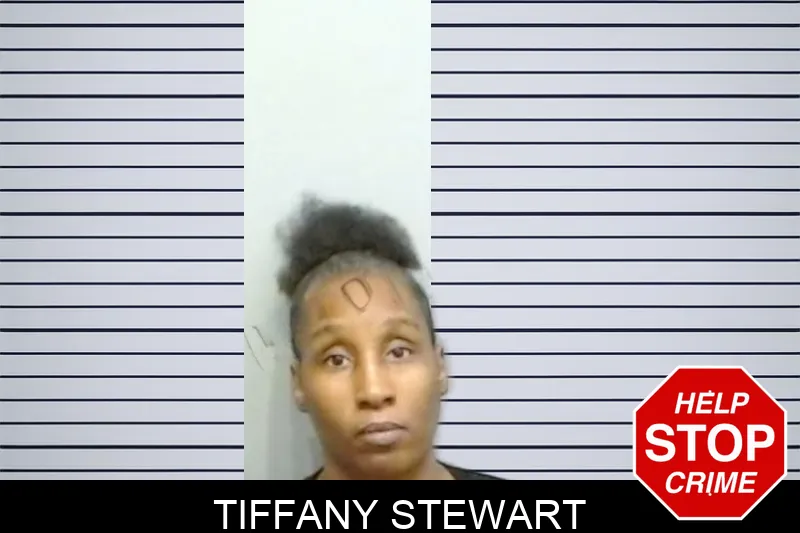 Tiffany Stewart Mugshots