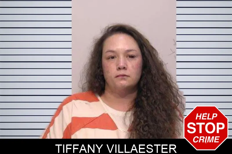 Tiffany Villaester Mugshots