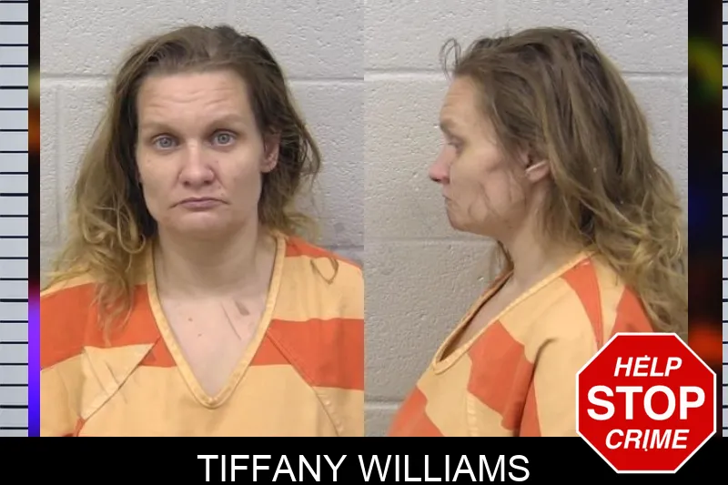 Tiffany Williams Mugshots