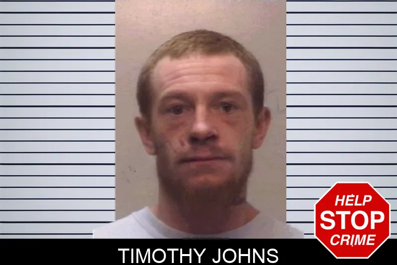 Timothy Johns Mugshots