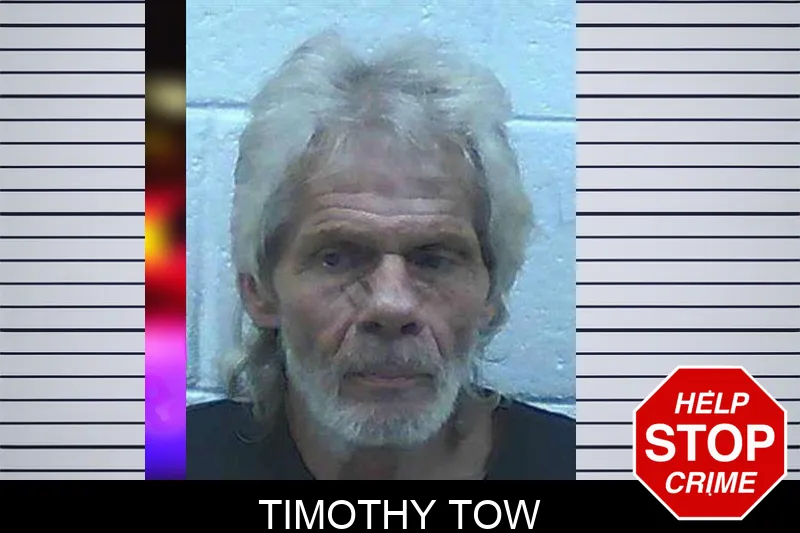 Timothy Tow Mugshots