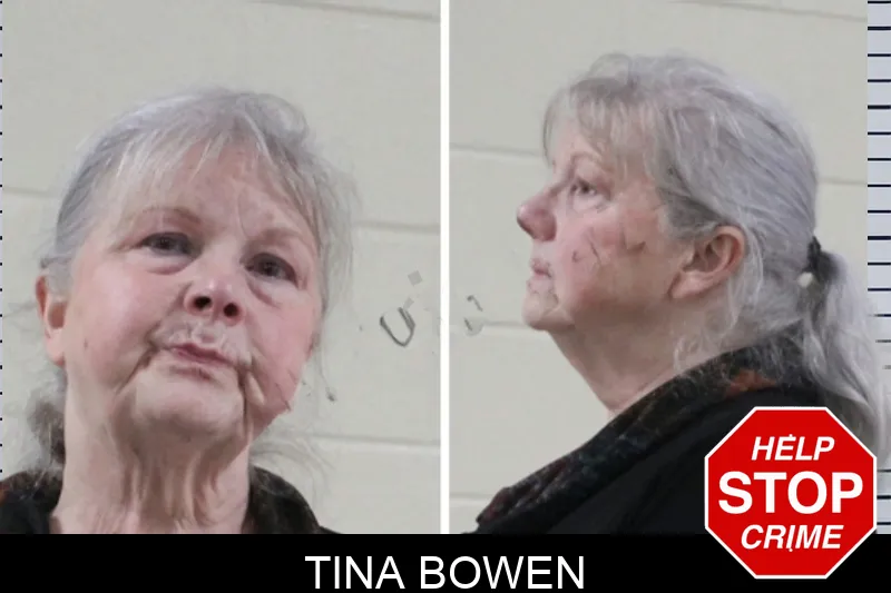 Tina Bowen Mugshots