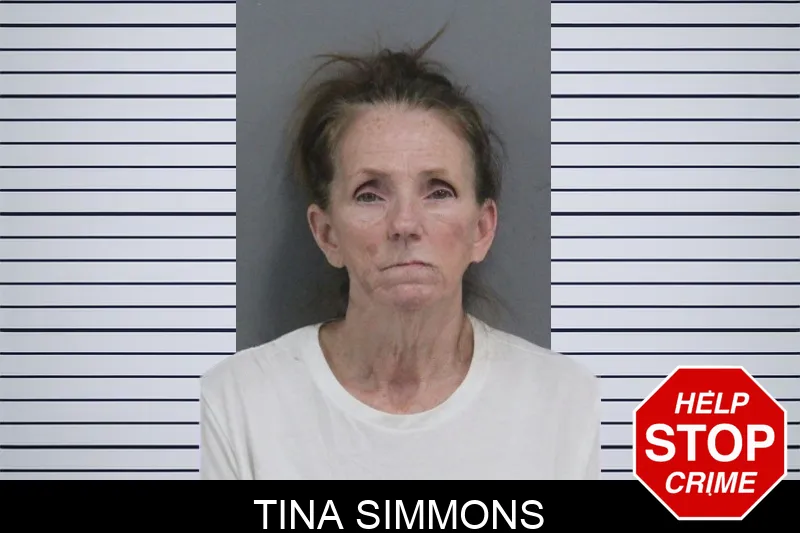 Tina Simmons Mugshots