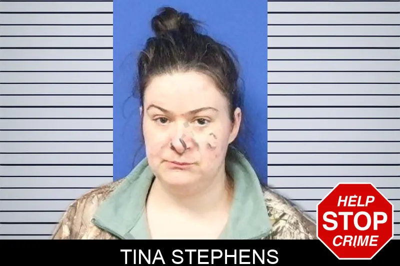 Tina Stephens Mugshots