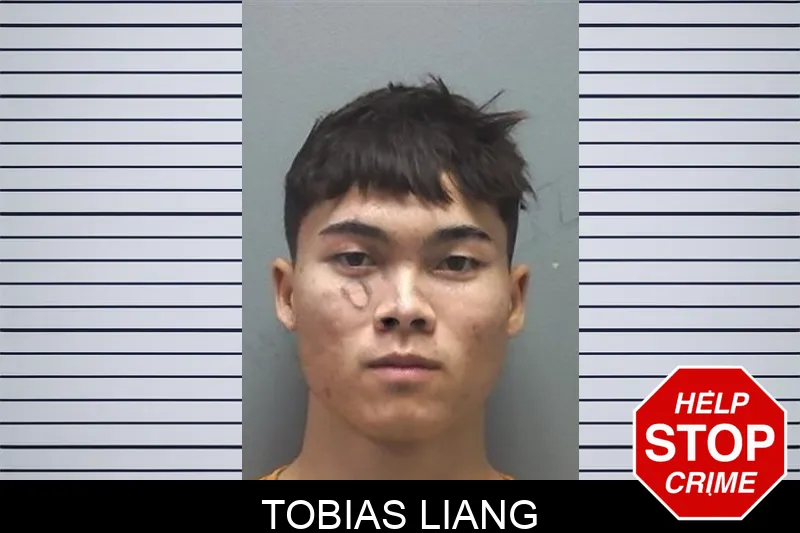Tobias Liang Mugshots