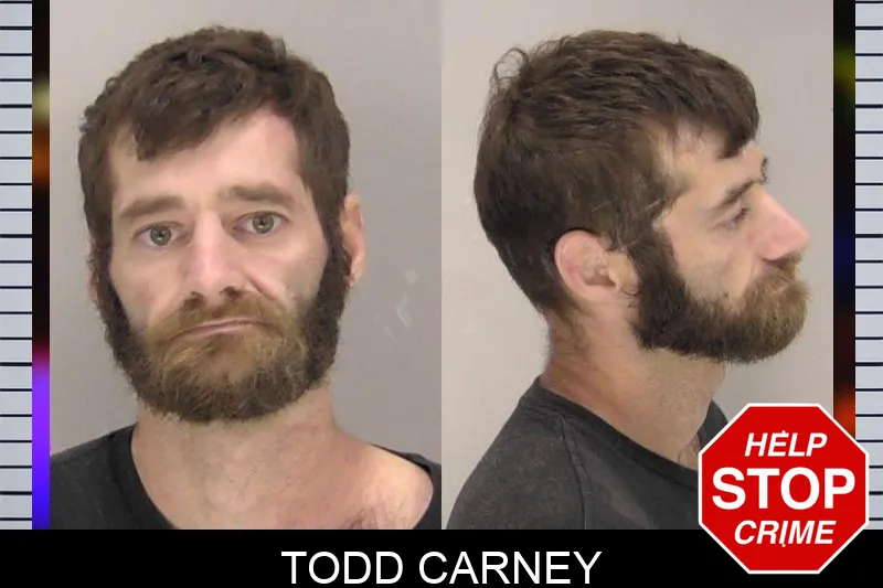 Todd Carney Mugshots