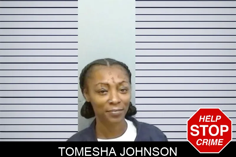 Tomesha Johnson mugshot