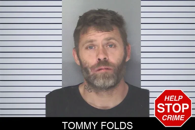 Tommy Folds