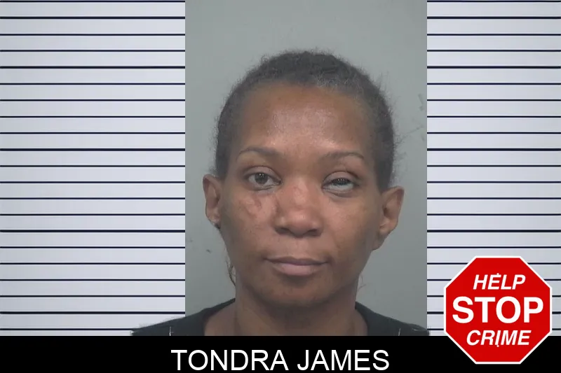 Tondra James mugshot – Gwinnett County , Georgia Tondra James mugshot