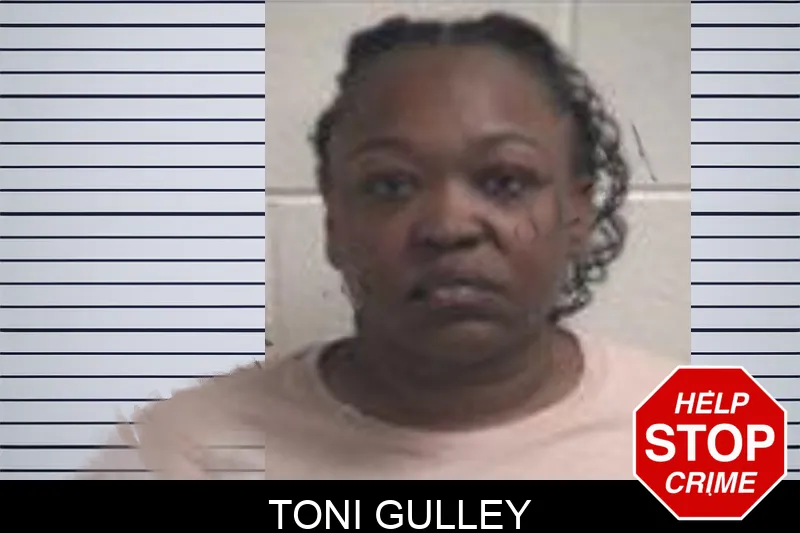 Toni Gulley Mugshots