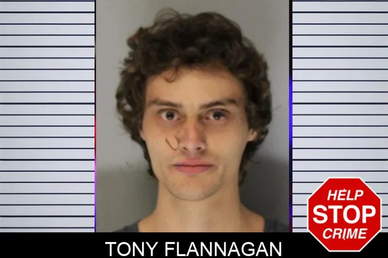 Tony Flannagan mugshot – Hall County , Georgia Tony Flannagan