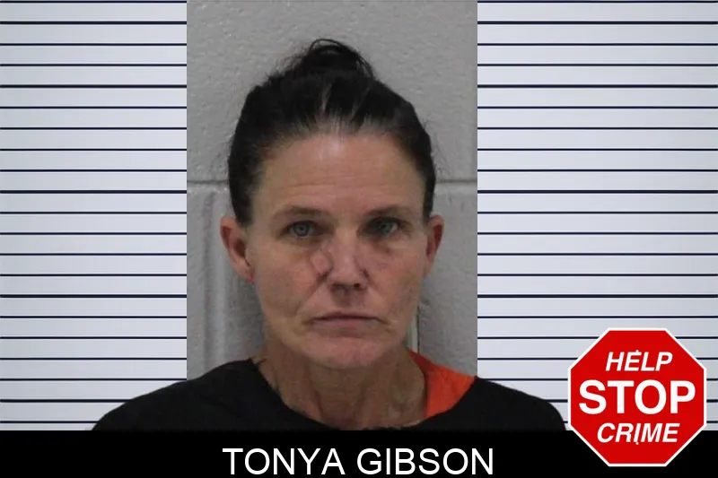 Tonya Gibson Mugshots