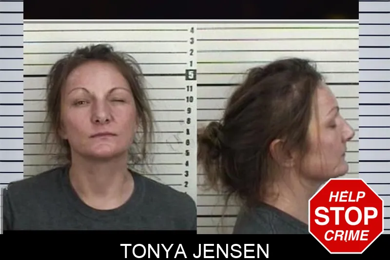 Tonya Jensen Mugshots