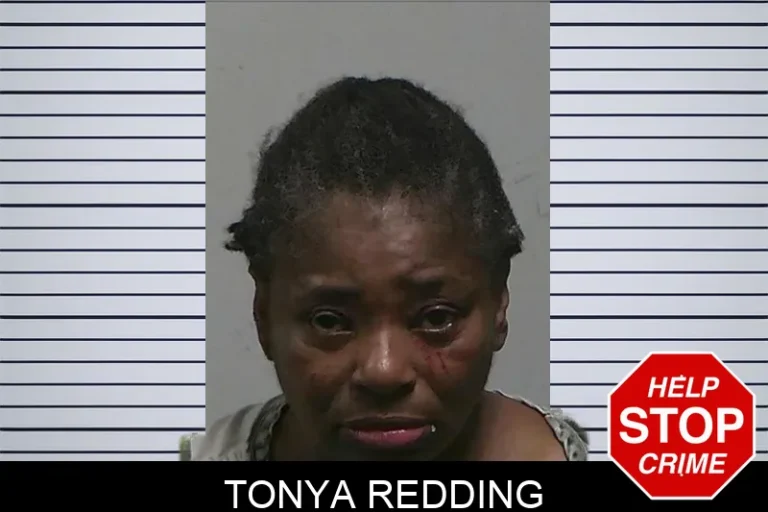 Tonya Redding mugshot – Tift County , Georgia Tonya Redding