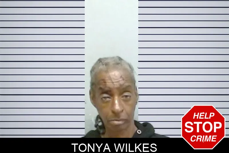 Tonya Wilkes mugshot – Fulton County , Georgia Tonya Wilkes mugshot