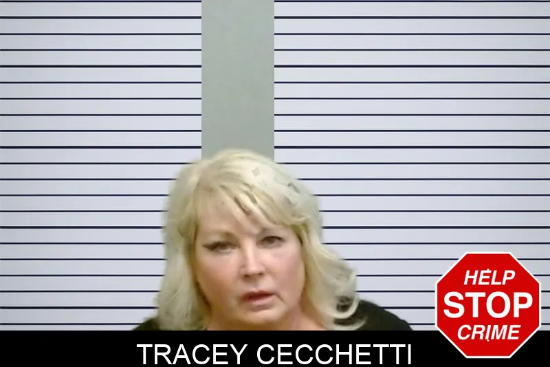 Tracey Cecchetti mugshot – Fulton County , Georgia Tracey Cecchetti mugshot