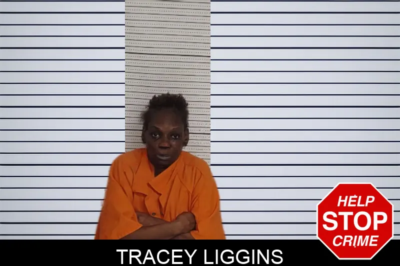 Tracey Liggins Mugshots