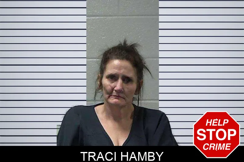 Traci Hamby Mugshots
