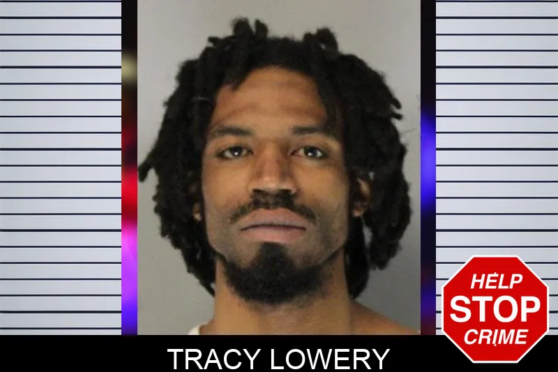 Tracy Lowery Mugshots
