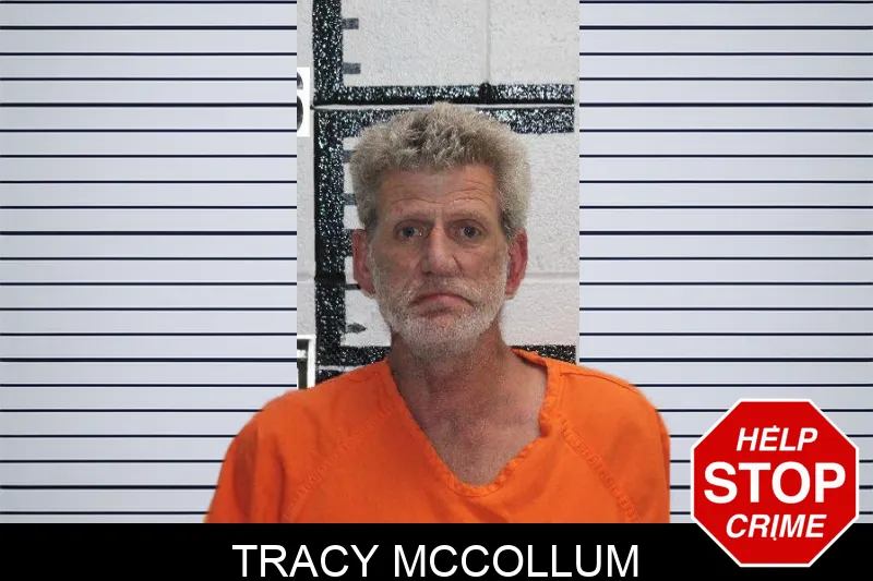 Tracy McCollum Mugshots