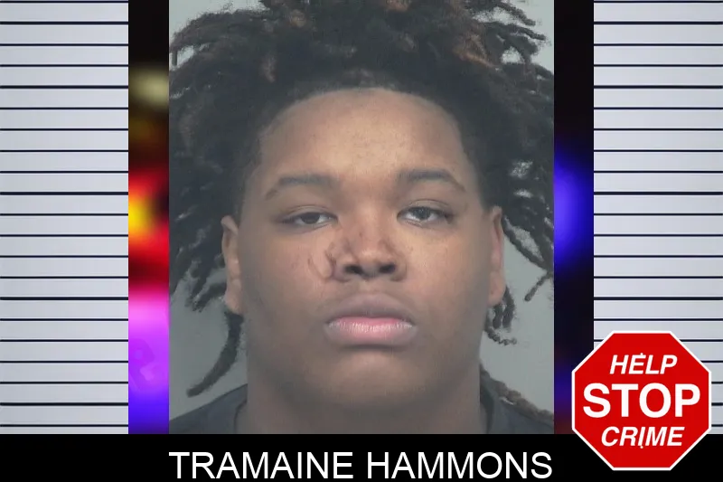 Tramaine Hammons mugshot – Gwinnett County , Georgia Tramaine Hammons mugshot