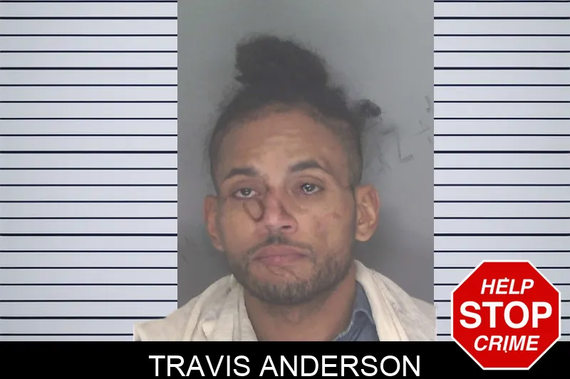 Travis Anderson Mugshots