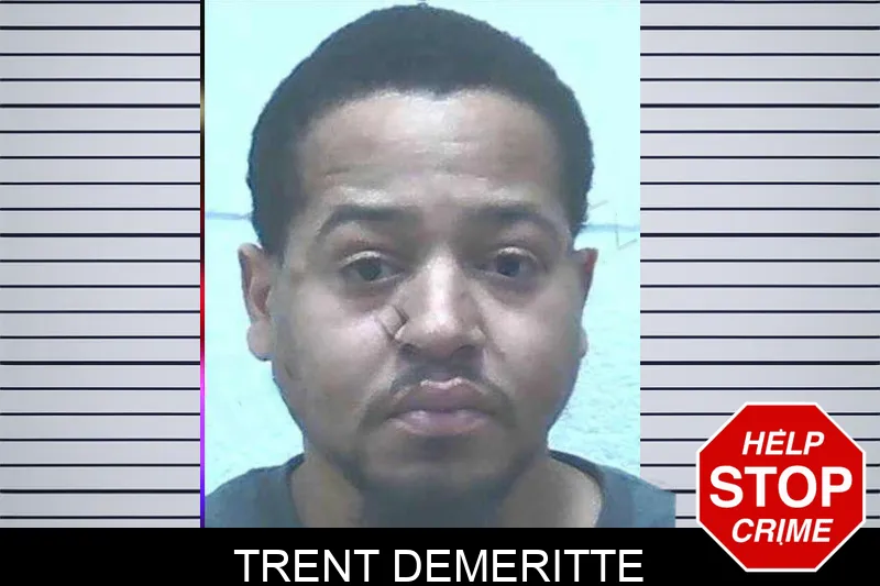 Trent Demeritte Mugshots