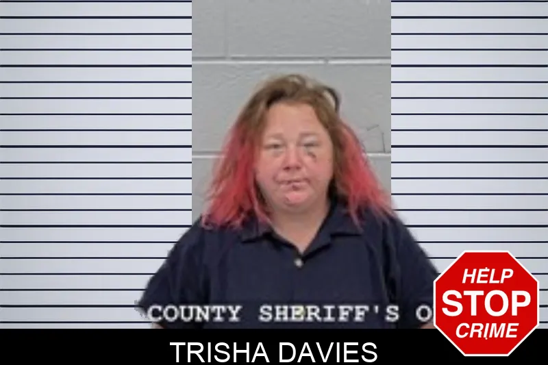 Trisha Davies Mugshots