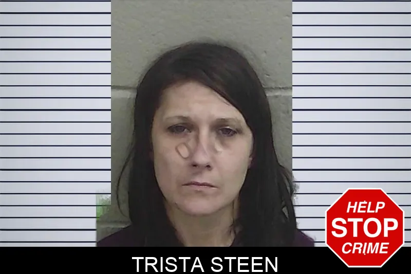 Trista Steen Mugshots