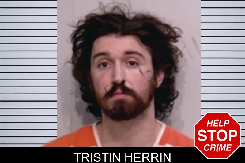 Tristin Herrin Mugshots