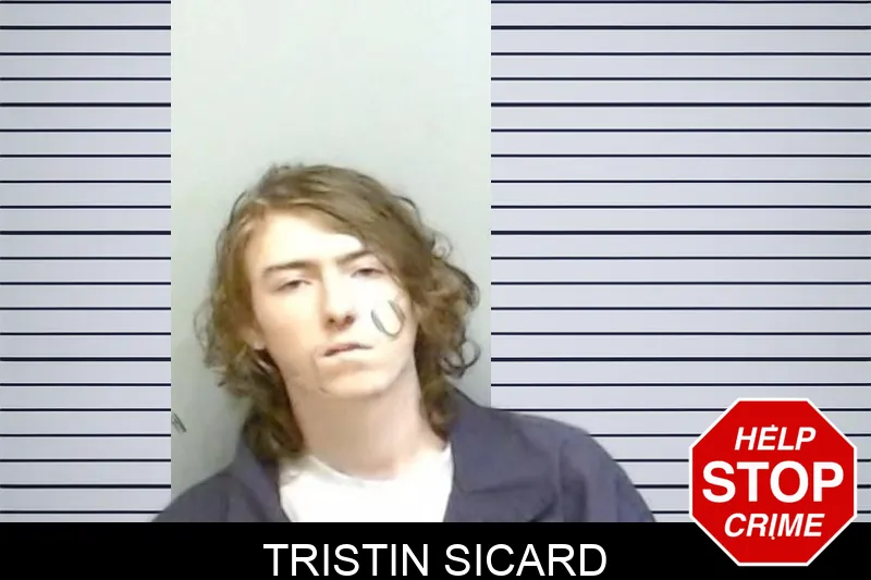 Tristin Sicard mugshot – Fulton County , Georgia Tristin Sicard mugshot